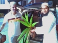 img-20130226-wa014