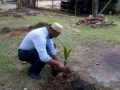 manco-plants-12-trees-at-their-factory
